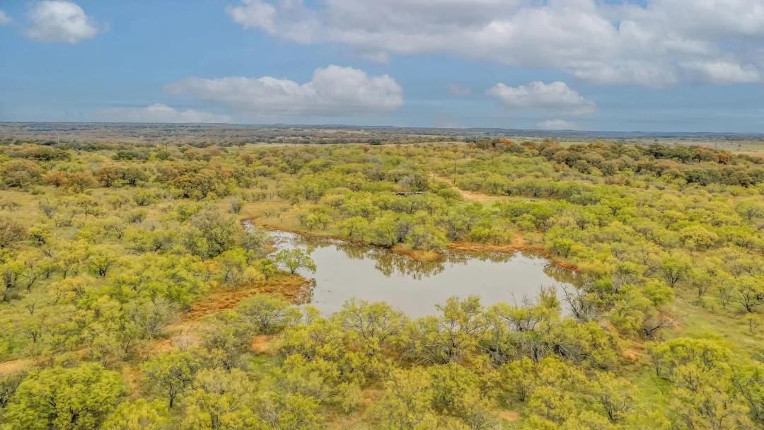 191+/-Acres FM 2945 Cisco, TX 76437