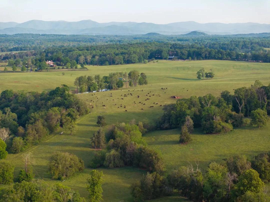 Edgewood Farm