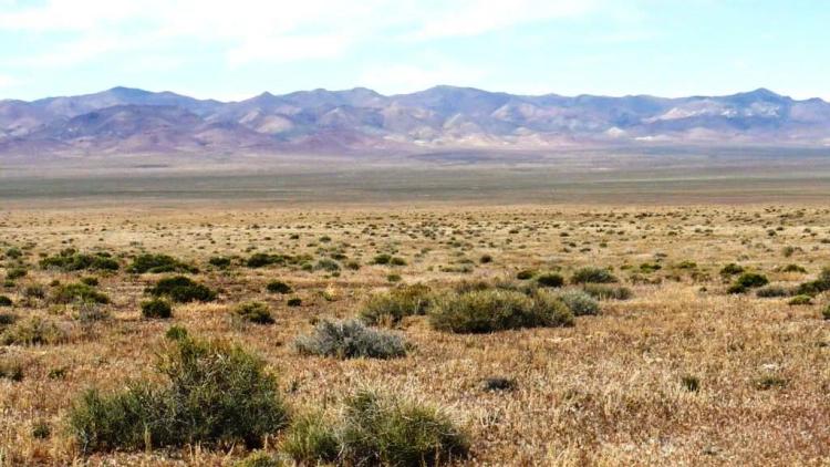 Willow Canyon Creek Area 40 acres  N-NW of Lovelock