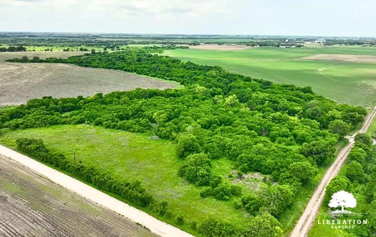 Itasca Tract 5 | 13+ Acres | Only $15K Down