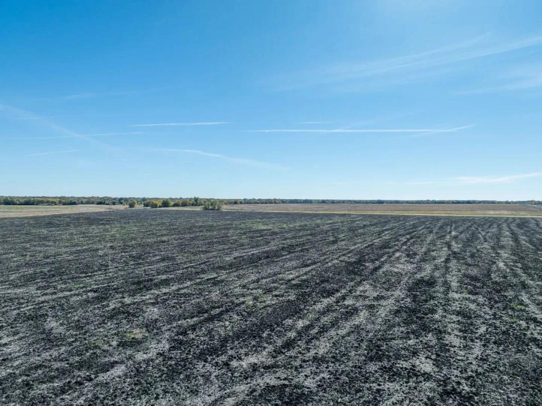 Deport Farm Land 