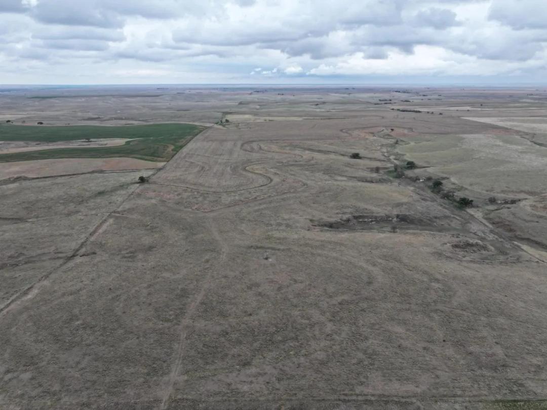 Dryland and Pasture for Sale | 158+/- Acres | Norton County, KS
