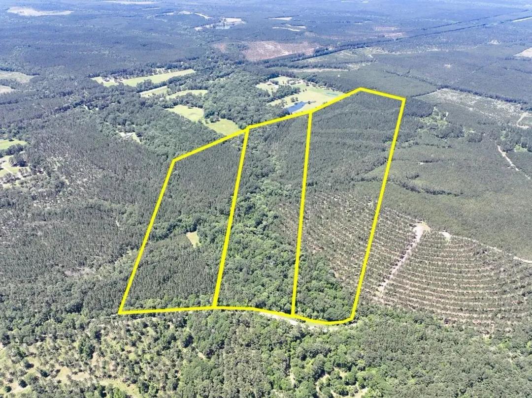 68 Acres | Paces Creek | T3074-11