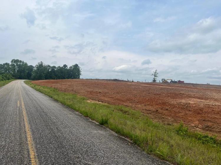 4 Acre Dream Homesite in Ariton