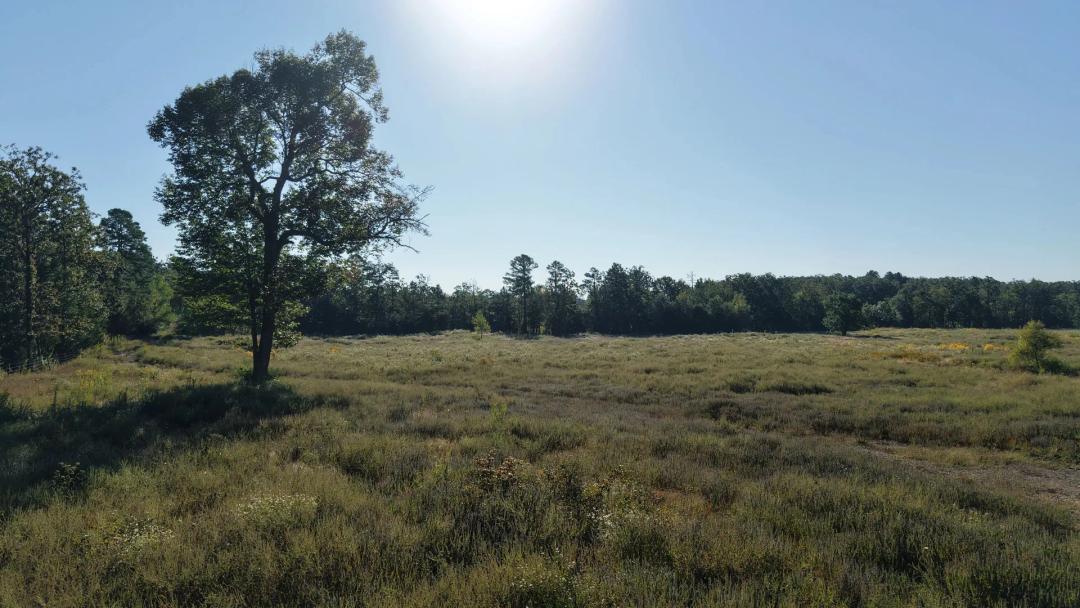 22.5 Acres in Polk County, AR 