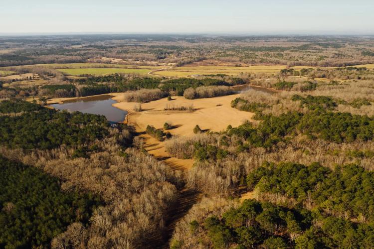 354 Acres with a Camp in Yalobusha County, MS 