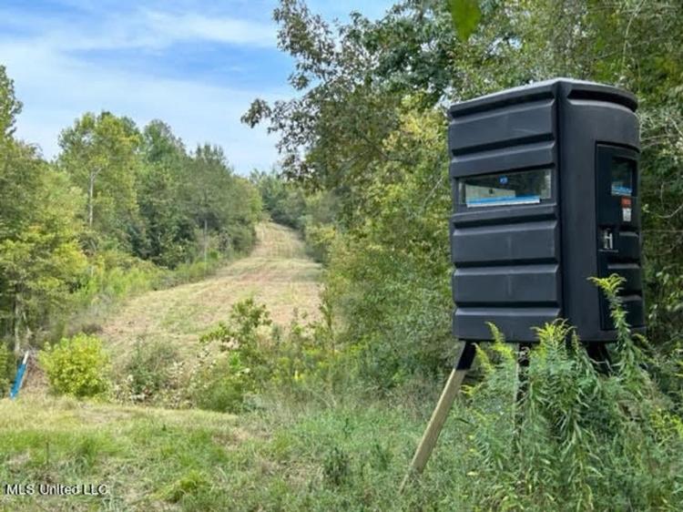 60 Acres For Sale In Yazoo County, MS
