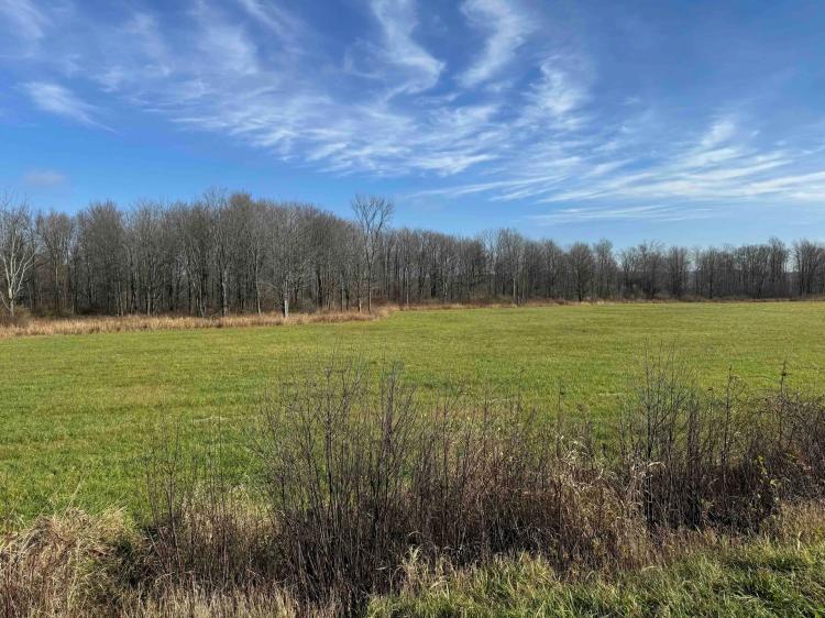 10 acres Recreational Land and Hunting Land in Ripley NY Post Road