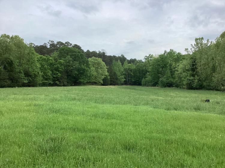 10 Acres in Montgomery County, AR