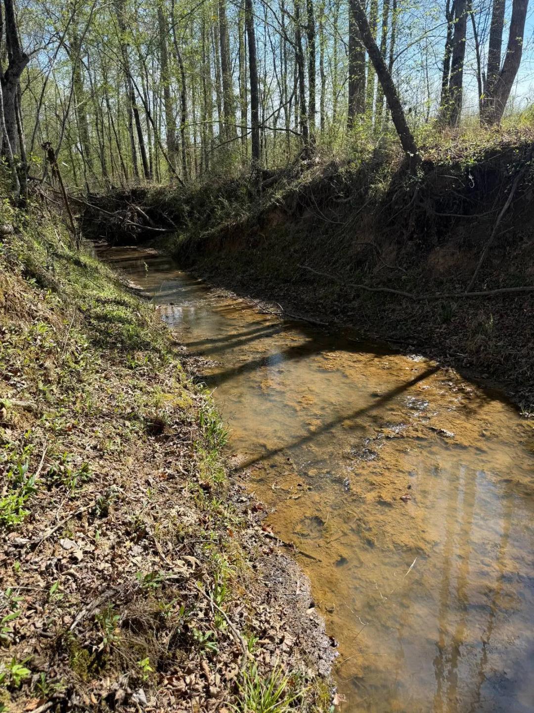 160± Acres in the Tombigbee National Forest