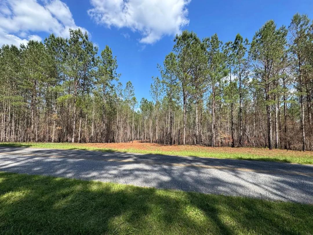 58.47+/- Acres Close to Lake Martin, Barrons Bridge Road, Tallapoosa County