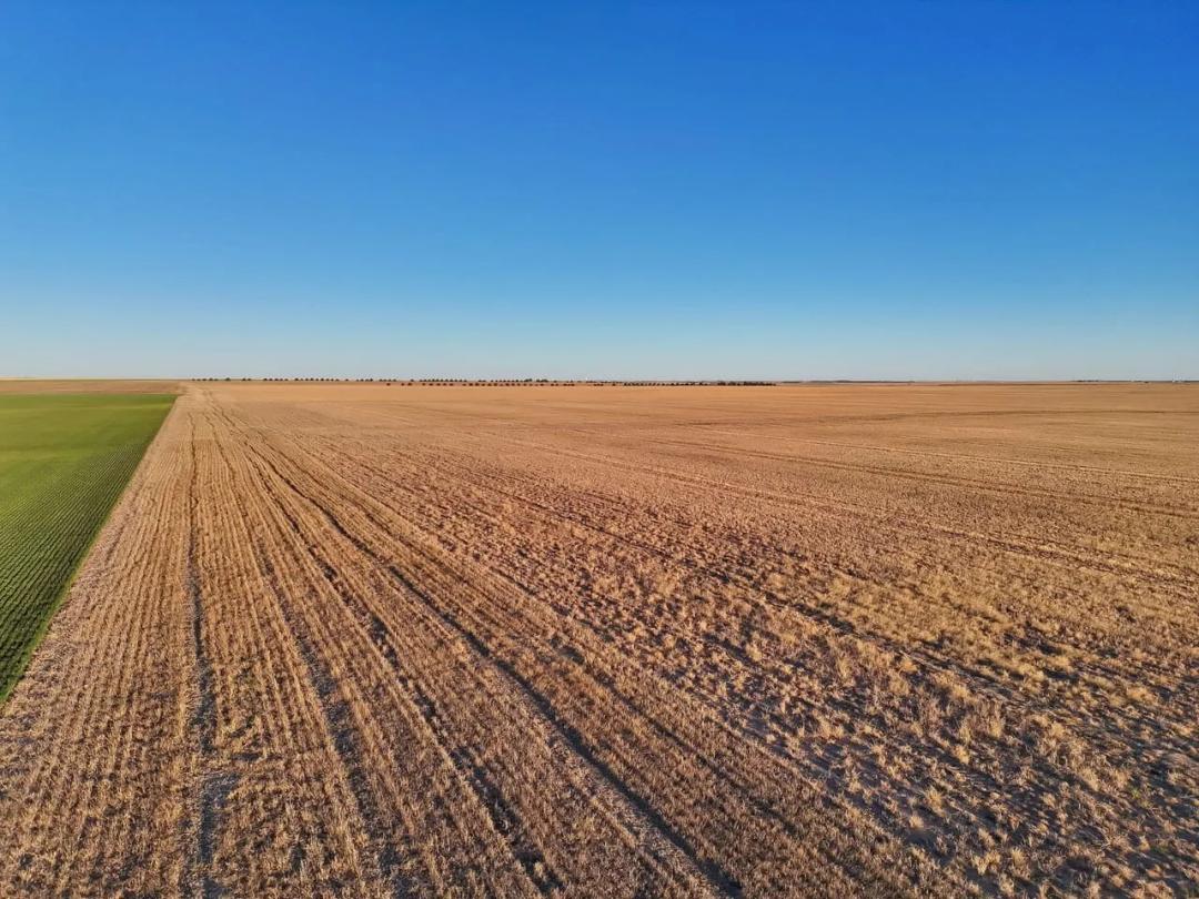 Half Section of Cropland & CRP with Recreational Opportunities