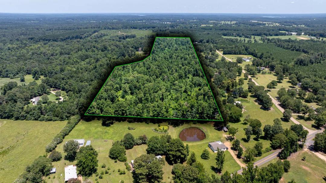 31.00 Acres at 0 Downsville Rd
