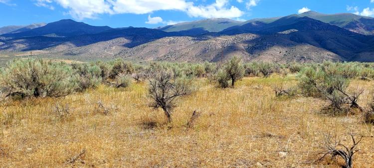 Mountain Views * Easy access to IH 80 * East of Lovelock  Humboldt River Ranches