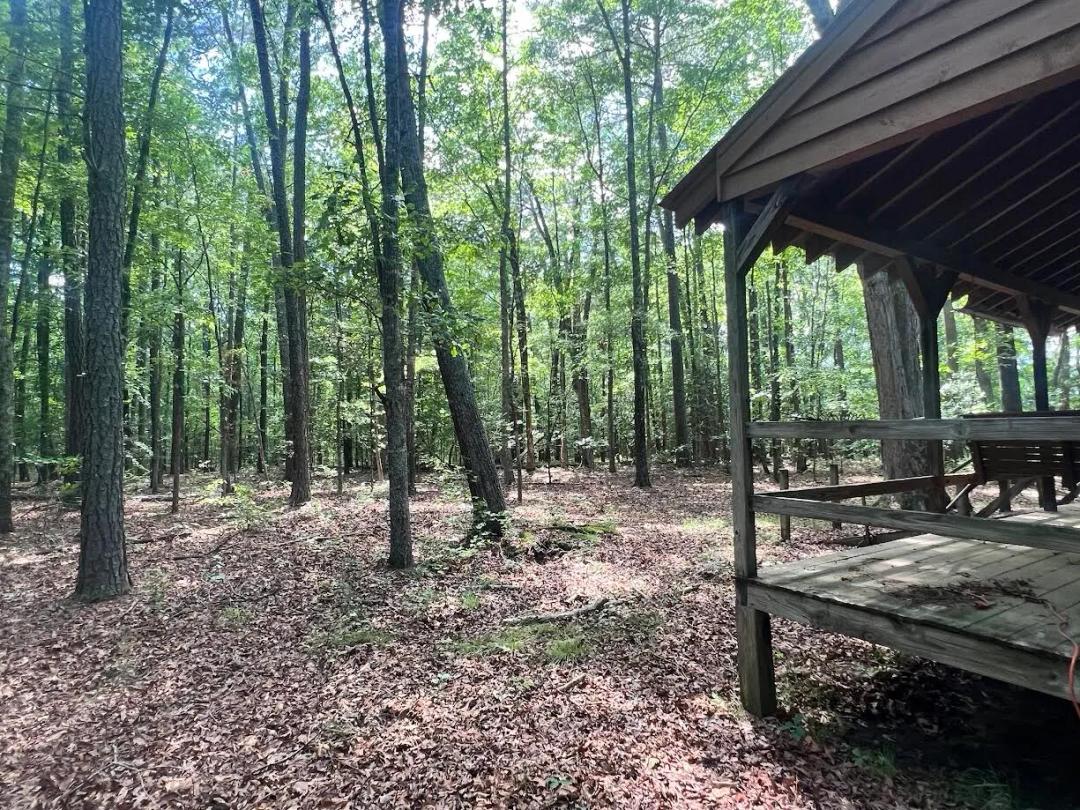 3 Bedrooms2 Bathroom on 8.10 Acres at 16100 Beach Road