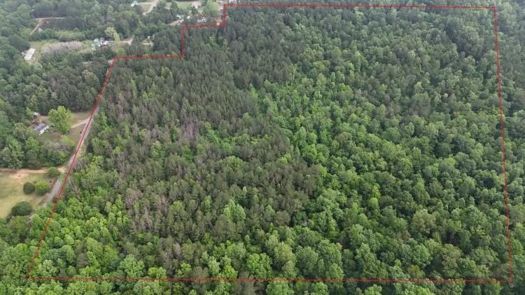 37 Acre Homestead, Hunting and Recreational Property in Winston, Co. AL