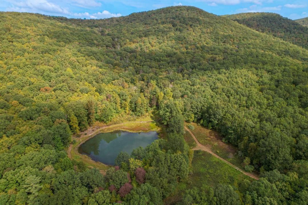 67 PRIVATE Acres with Pond &amp; RIVERFRONT!
