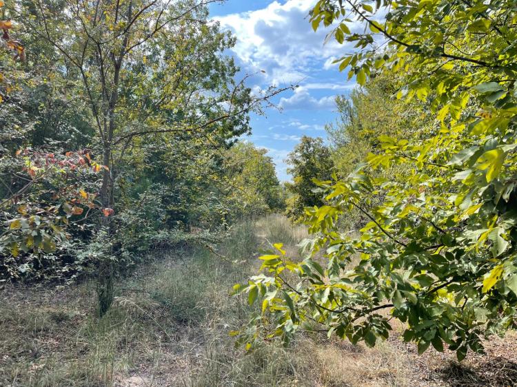 4.61 Acres at 0 Restful Road Lot 76