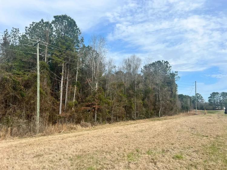 19 Acres in Jasper County, MS 