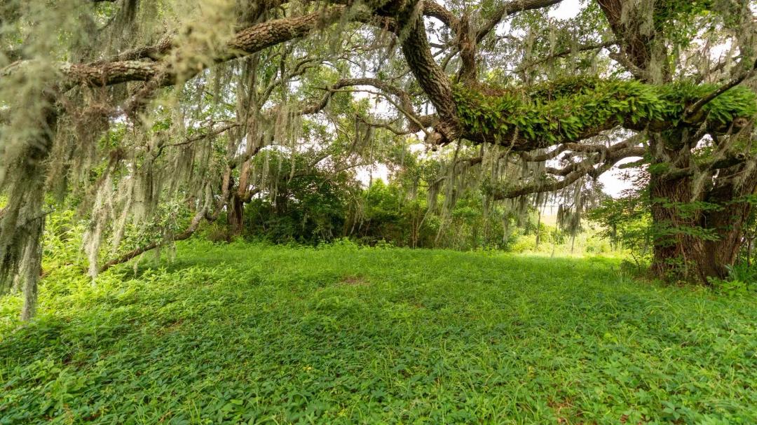 Pascagoula River Investment and Recreation