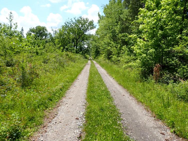 262.00 Acres at 0 Allenton Road