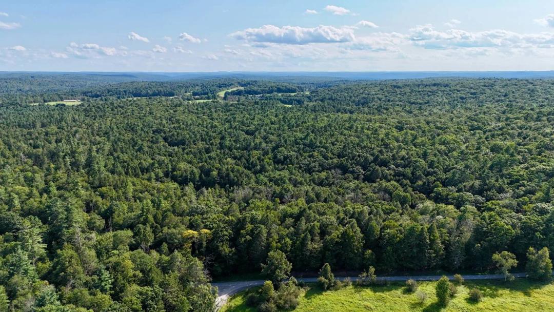50 acres Hunting and Recreational Property in Cochecton, NY
