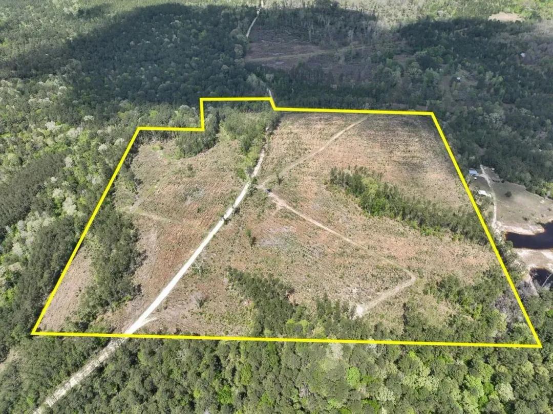 46 Acres | County Road 2834 | SN6017