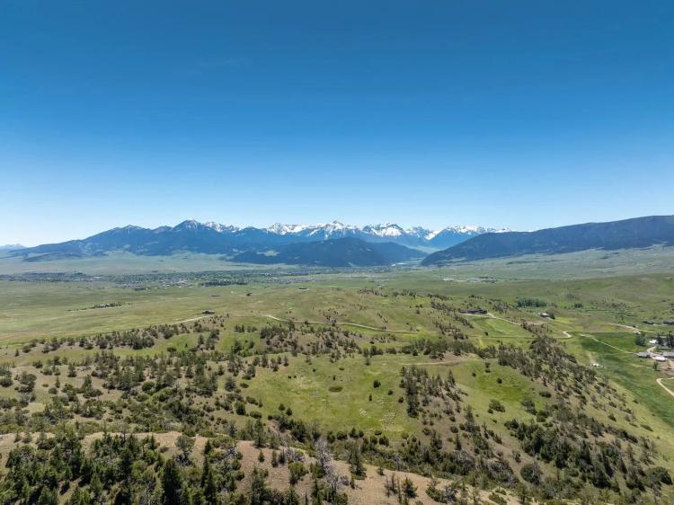 50+ Acres of Amazing Hunting/Recreational/Residential Use LAND