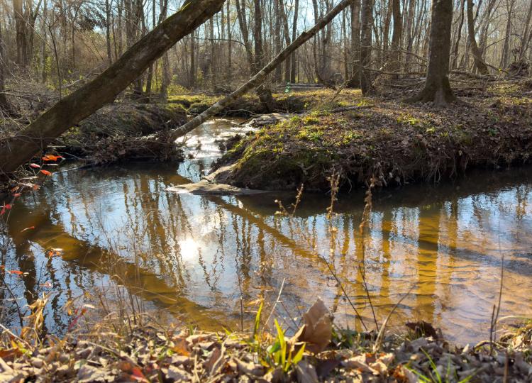 Buckeye Creek Farm 