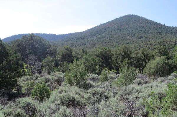 160.00 Acres at 20 miles north Cerro Montoso Rd