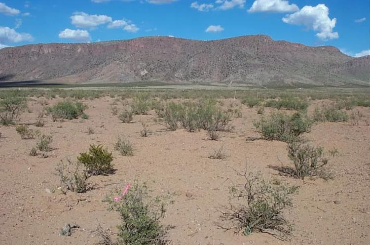 1/2 acre near Rock Hound State Park and Florida Mountains