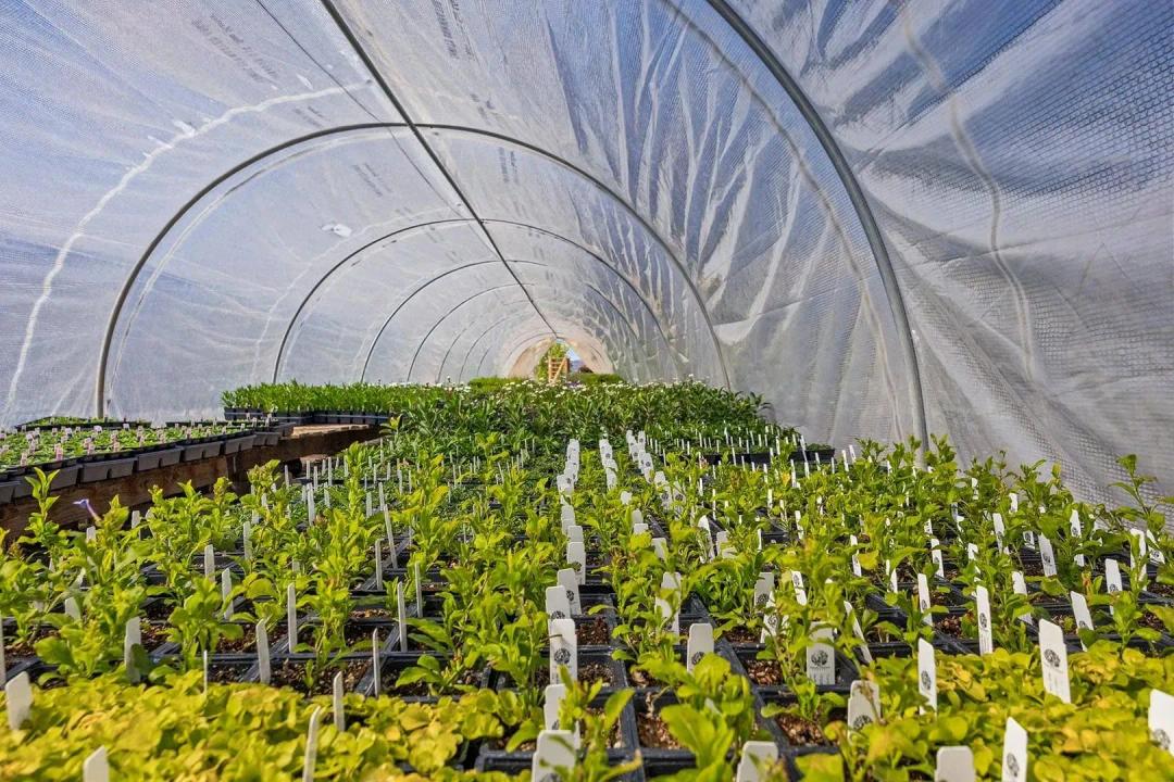 Valley Grown Nursery