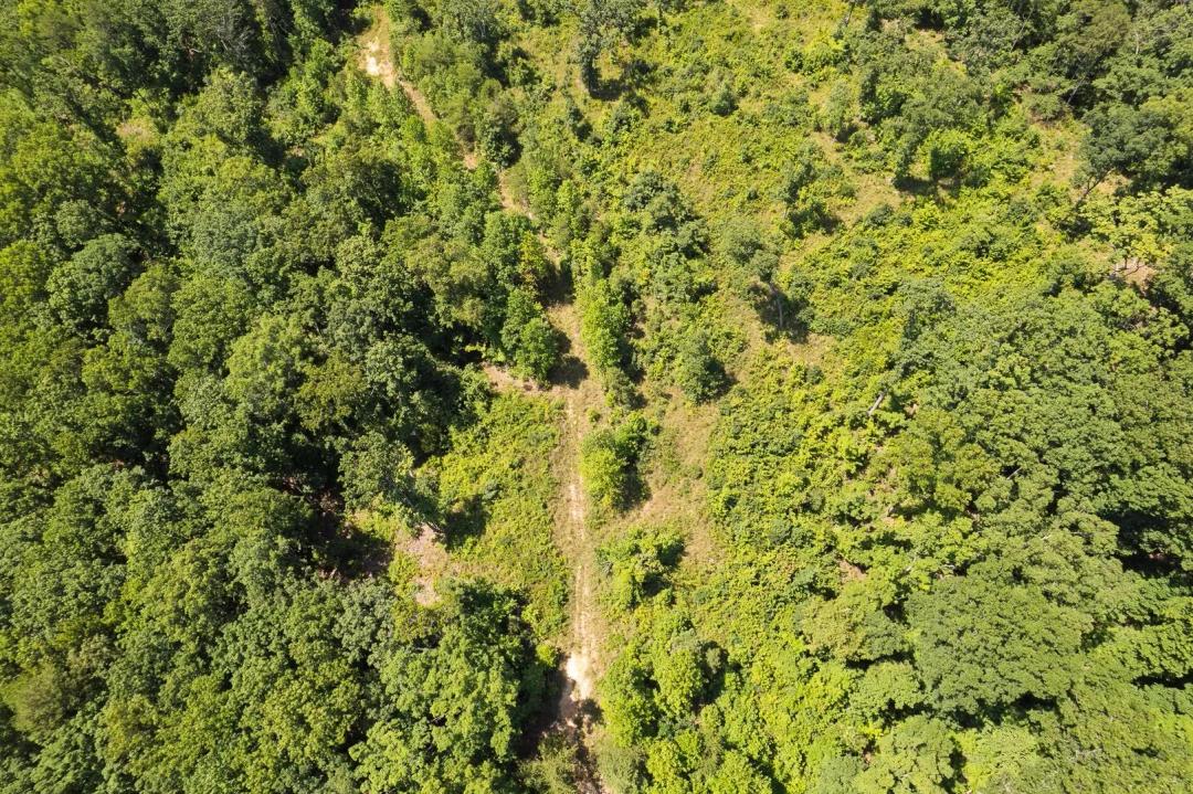 4.32± Acres of Recreational Land Near Chattanooga | Dade County, GA