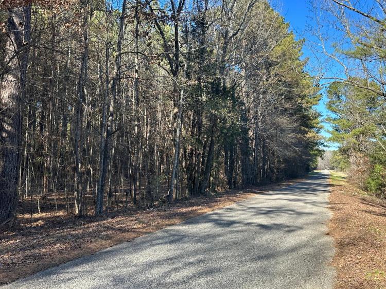 44 Acres with a Home in Winston County, MS 