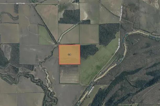 40 Acres in Tunica County in Dundee, MS