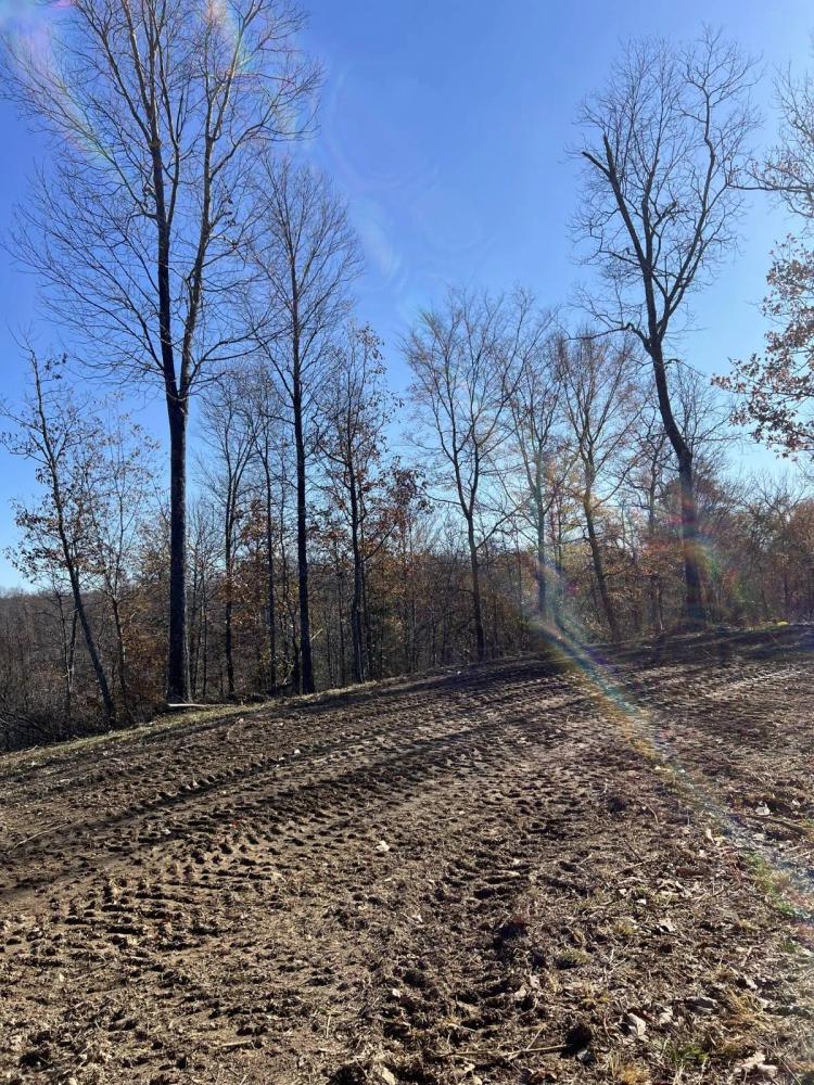 5 Unrestricted Acres in Peaceful Lobelville, TN!