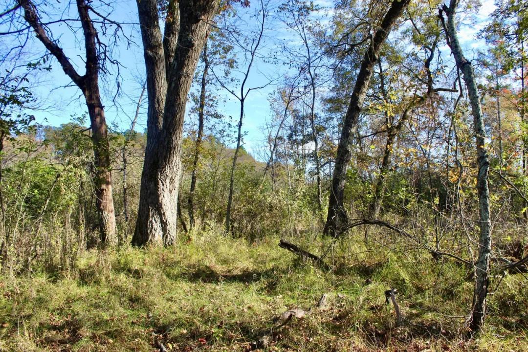 9-Acre Eau Claire Escape with Creek Frontage, Build Site & Big Views