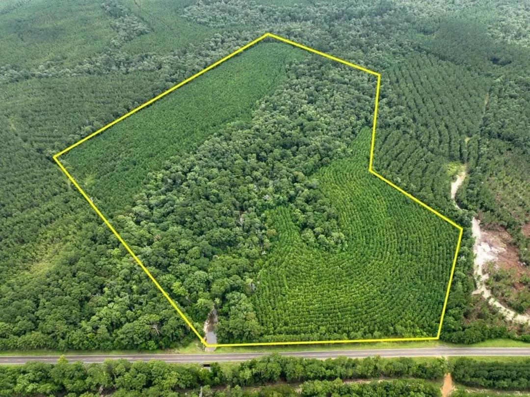 73 Acres | FM 2939 | 287056