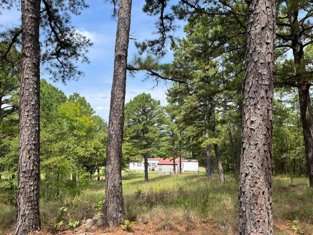 40 Acres with Home, Cabin, Pond & Timber – Daisy, OK