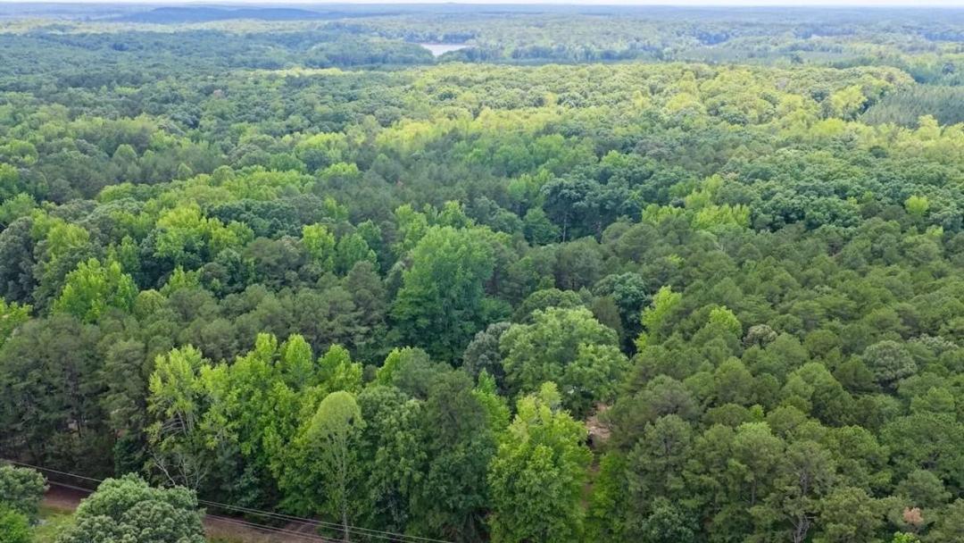 9.36 acres of residential and recreational land for sale in Mecklenburg County, VA!