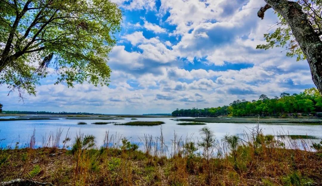 Sheffield Island on Saddlers Creek Bluff