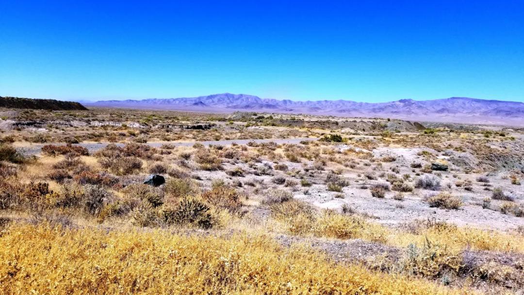 Remote Nevada land - End of Road Privacy - Pitch Black Nights - Borders BLM lands