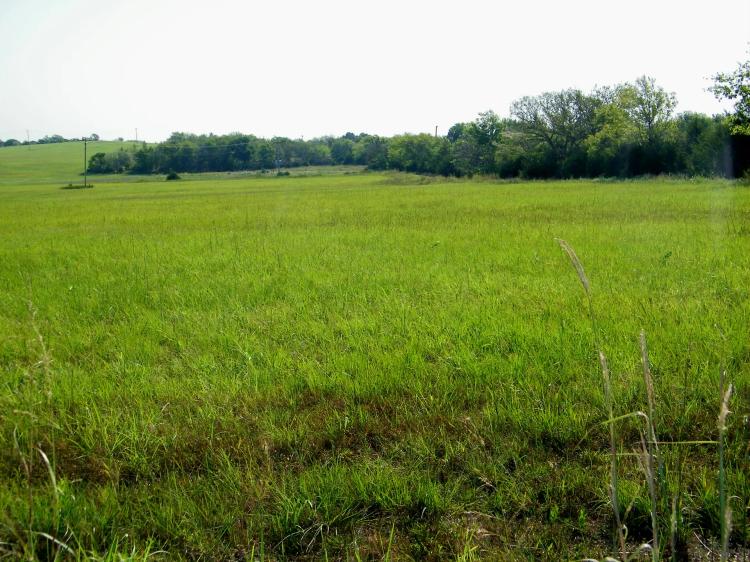 120 Acre Pasture and Hay w/ Hunting Pawnee County