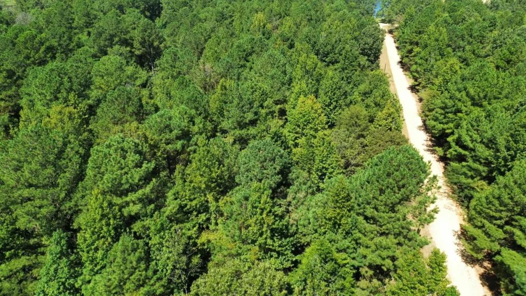 Lake Gainesville Estates Lots #4 thru Lot #8 Warsaw Alabama  - $18,000.00 each