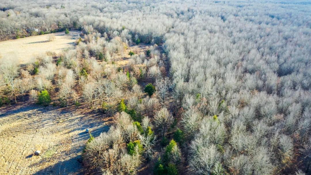 Recreational & Hunting Property in Lamar and Red River County, TX