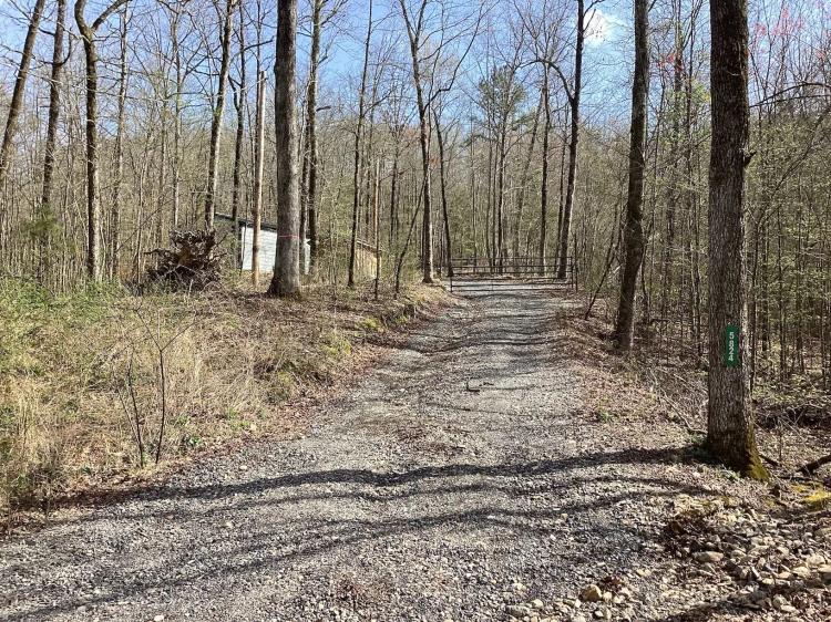 18.09 Acres in Polk County, AR 