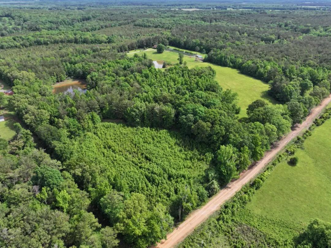29.29 Acres in Calhoun County, MS 