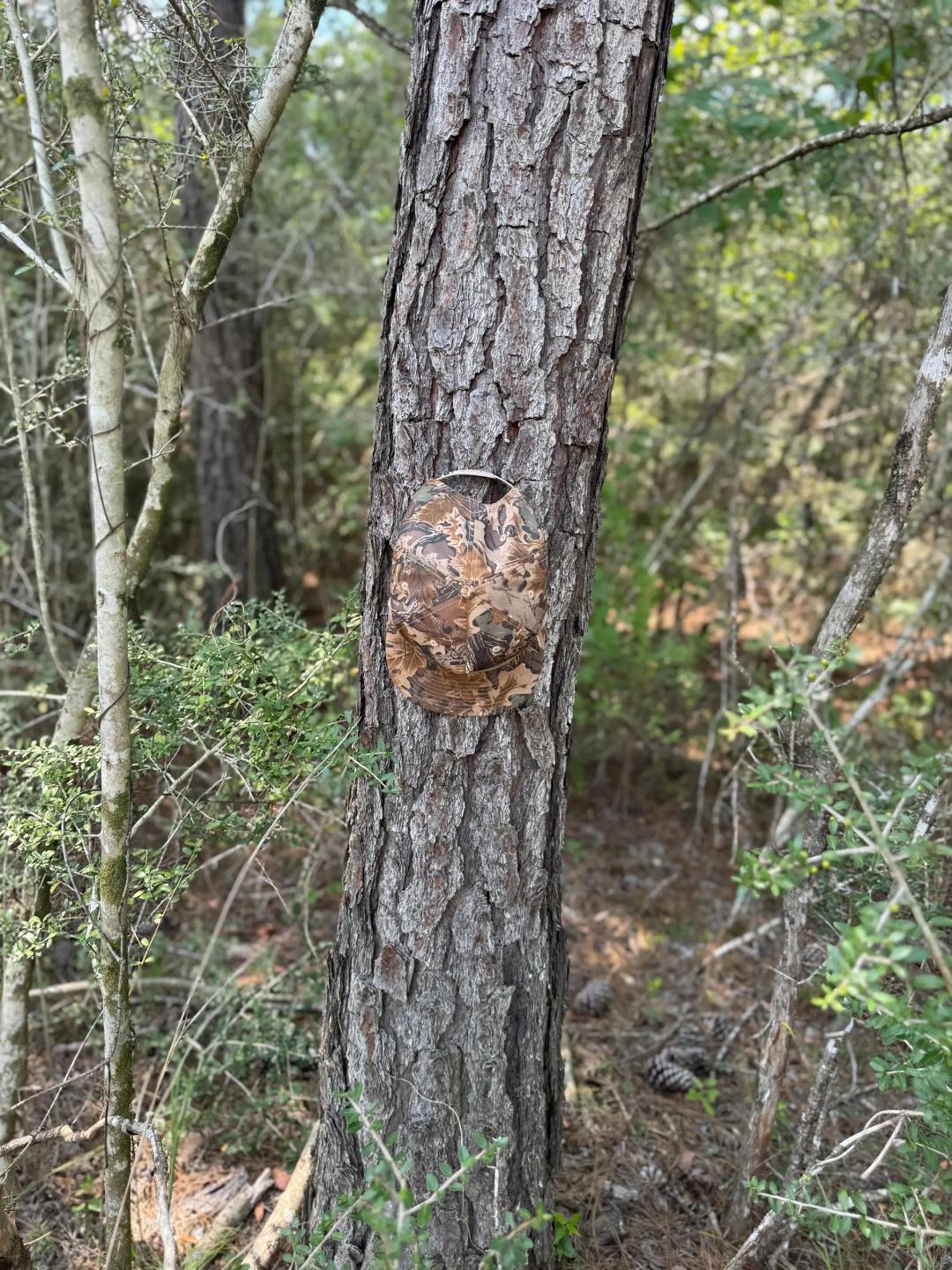 10 Acres [Tract #1] in George County, MS 