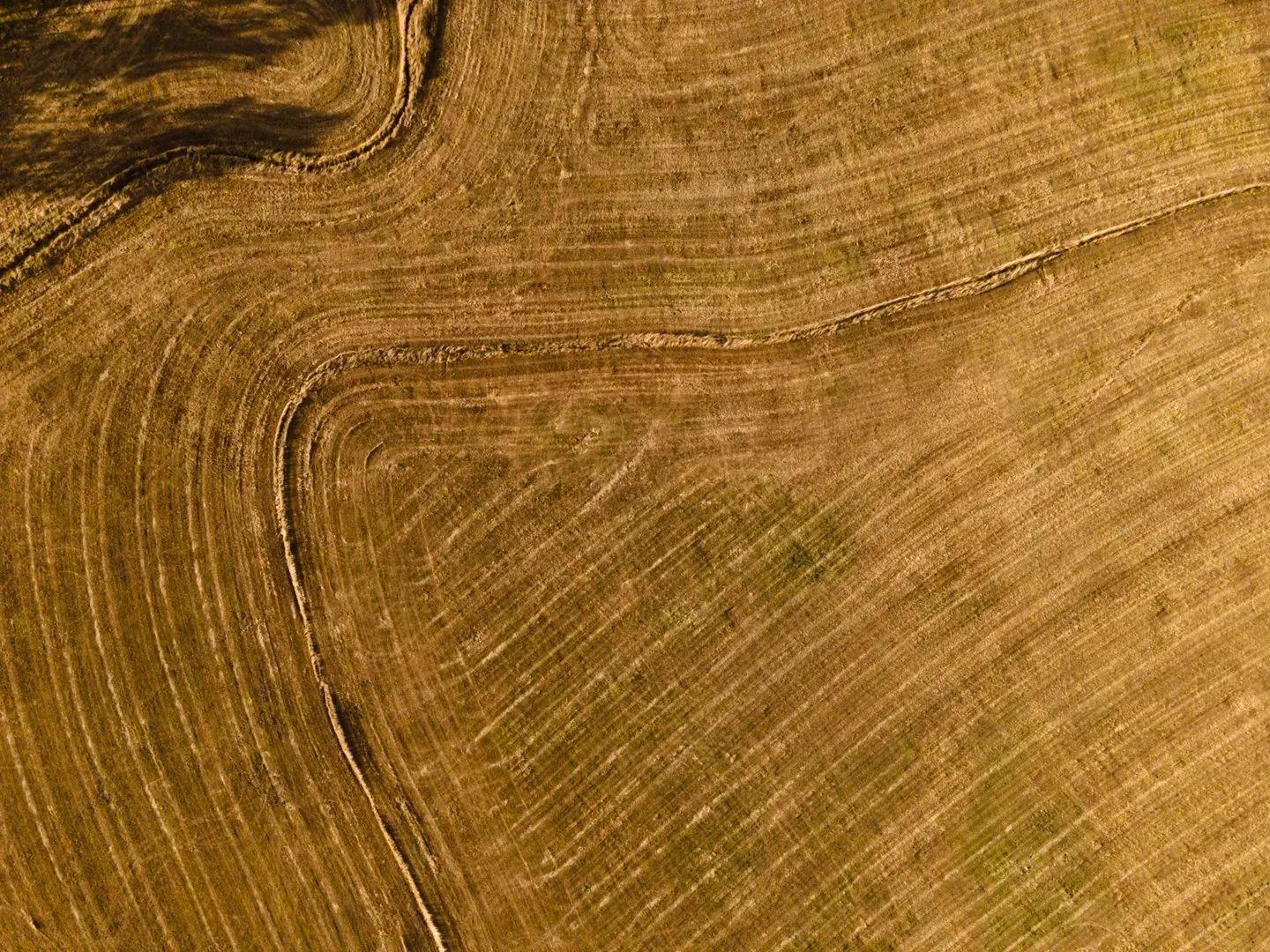 89800664-15