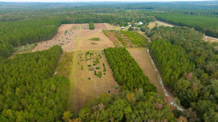 Sandy Creek Farm With Improvements